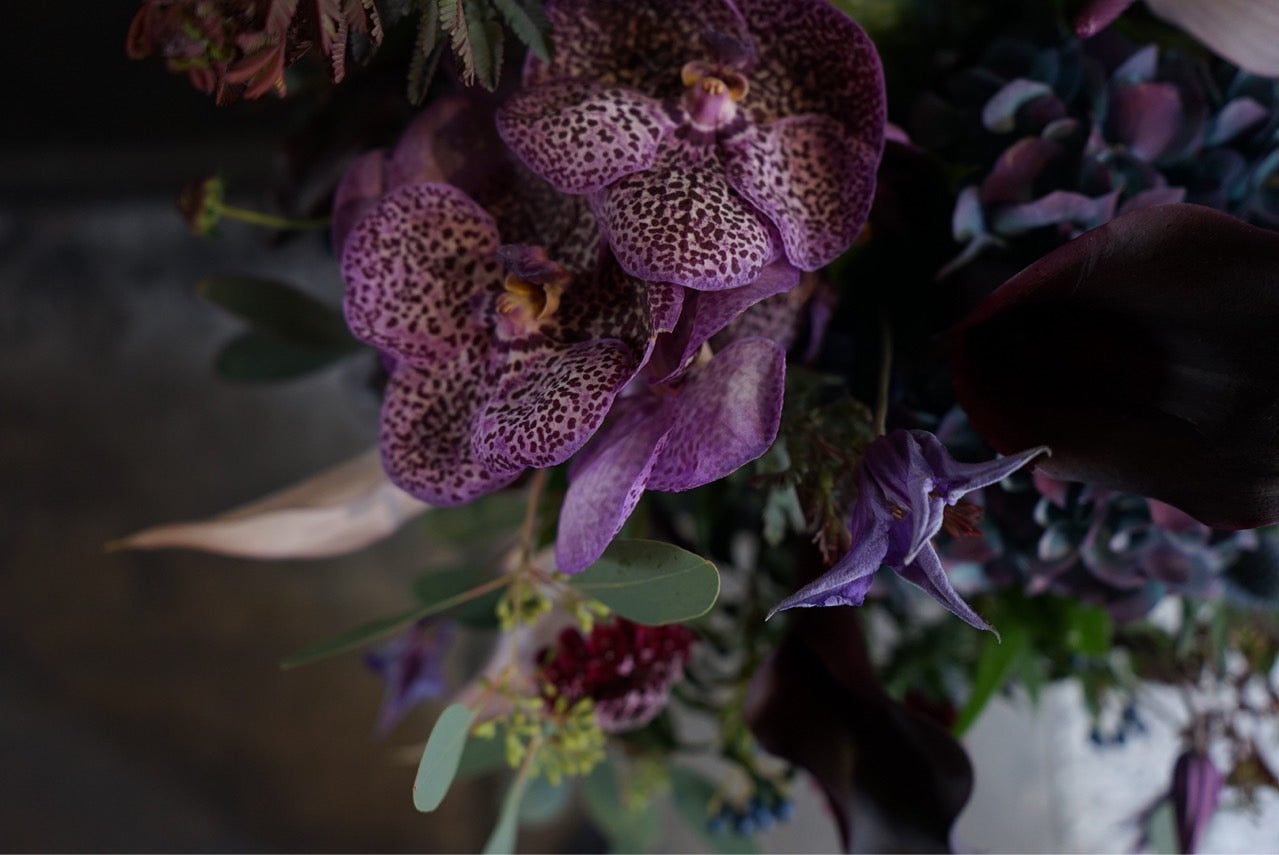 Arrangement / purple Lsize