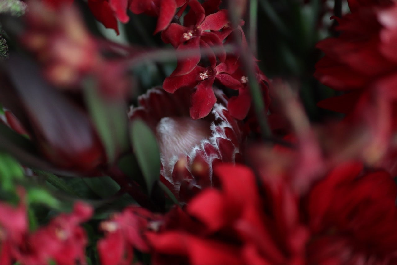 Bouquet/red Msize