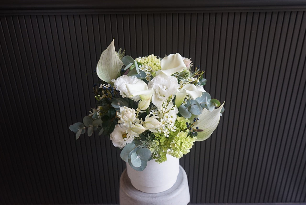 Arrangement / white&green Msize
