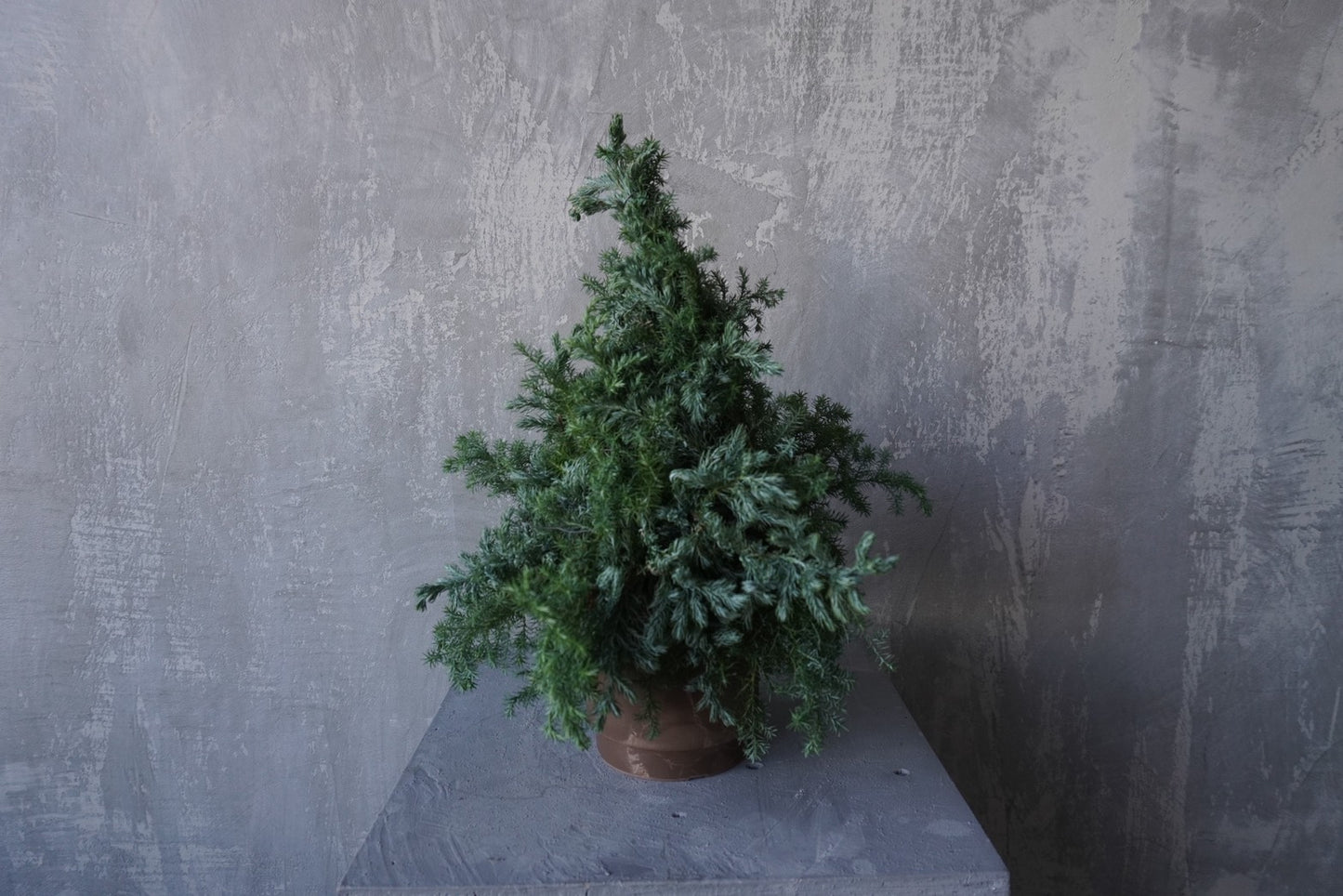 Christmas tree (kit)