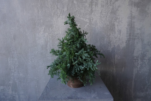 Christmas tree (kit)