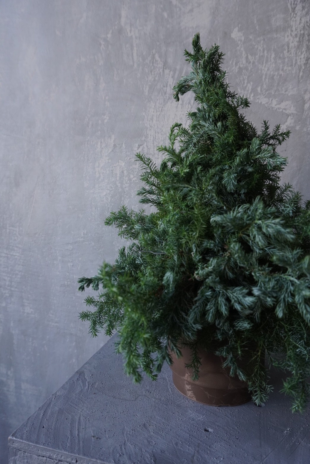 Christmas tree (kit)