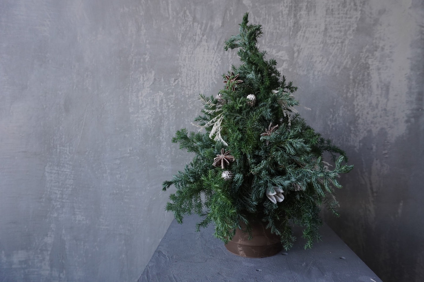 Christmas tree (kit)